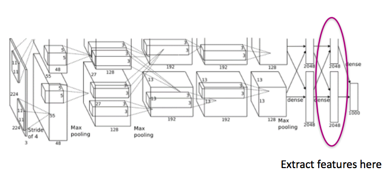 feature_extractor